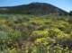 imgp2540_small.jpg