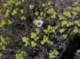 imgp2541_small.jpg
