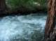 imgp2549_small.jpg