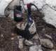 imgp2560_small.jpg