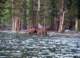 imgp2563_small.jpg