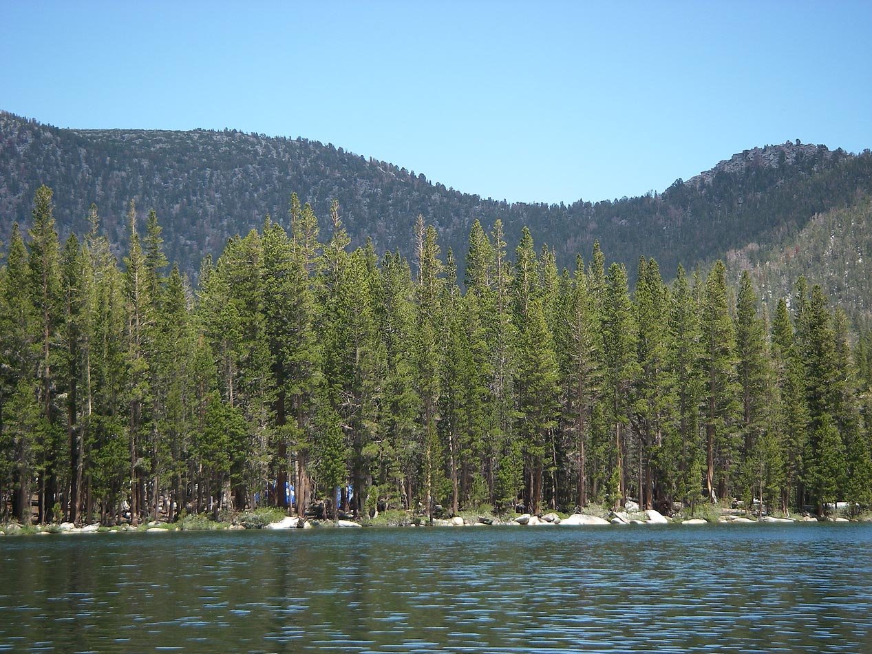imgp2578.jpg