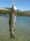 imgp2584_small.jpg