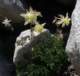 imgp2611_small.jpg