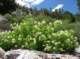 imgp2615_small.jpg