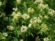 imgp2616_small.jpg