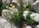 imgp2618_small.jpg