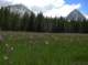imgp2627_small.jpg