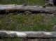 imgp2649_small.jpg