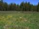 imgp2652_small.jpg