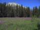 imgp2653_small.jpg