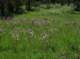 imgp2656_small.jpg