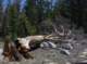 imgp2663_small.jpg