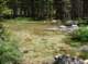 imgp2678_small.jpg