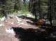 imgp2687_small.jpg