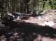 imgp2689_small.jpg