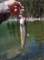 imgp2691_small.jpg
