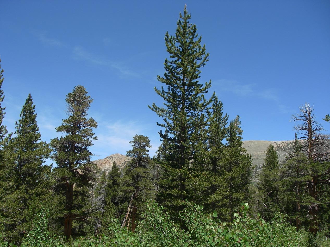 imgp2693.jpg