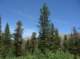 imgp2693_small.jpg