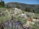 imgp2697_small.jpg