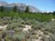 imgp2699_small.jpg