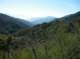 imgp0005_small.jpg
