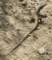 imgp0007_small.jpg