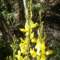 imgp0008b_small.jpg