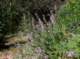 imgp0010_small.jpg