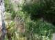 imgp0012_small.jpg