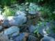 imgp0022_small.jpg