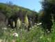 imgp0025_small.jpg