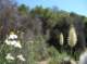 imgp0026_small.jpg