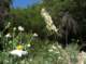imgp0028_small.jpg
