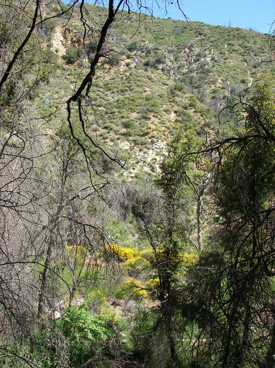 imgp0029.jpg