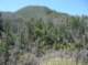 imgp0031_small.jpg