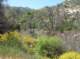 imgp0038_small.jpg