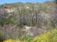 imgp0039_small.jpg