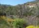 imgp0040_small.jpg
