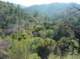 imgp0042_small.jpg