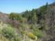 imgp0043_small.jpg