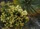 imgp0044_small.jpg