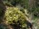 imgp0045_small.jpg
