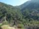 imgp0046_small.jpg