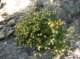 imgp0047_small.jpg