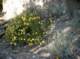 imgp0048_small.jpg
