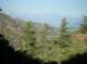 imgp0049_small.jpg