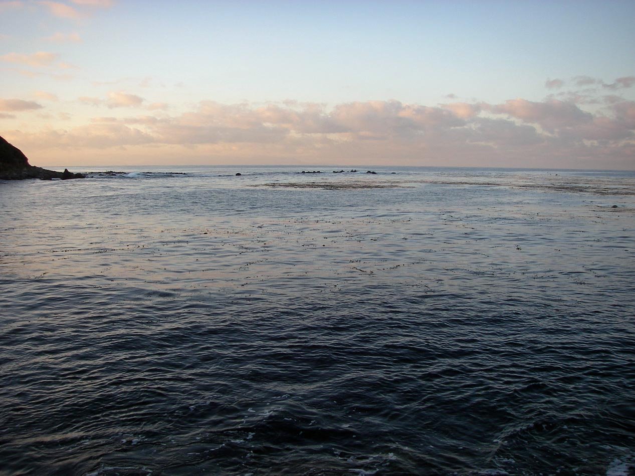 imgp0002.jpg