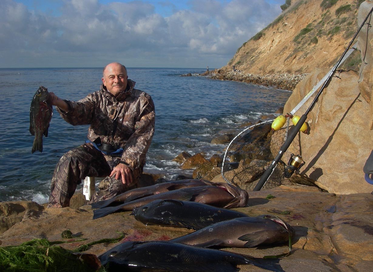 Six opaleye using algae bait at Palos Verdes 1/11/2020