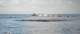 imgp0017_small.jpg